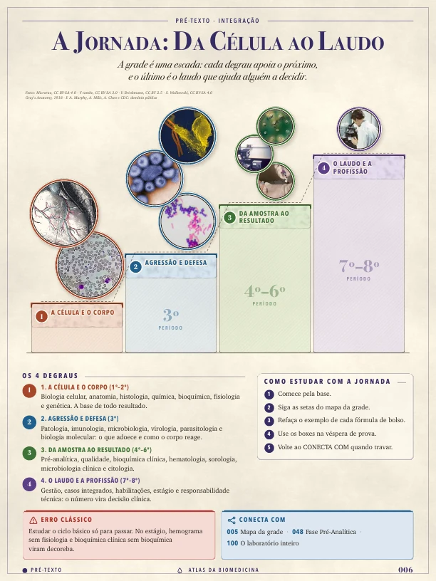 A jornada do curso no Atlas da Biomedicina